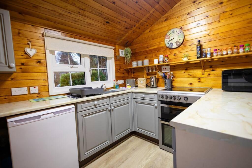 Rural Log Cabin In Snowdonia Near Coed Y Brenin By Seren Short Stays Ffestiniog 외부 사진