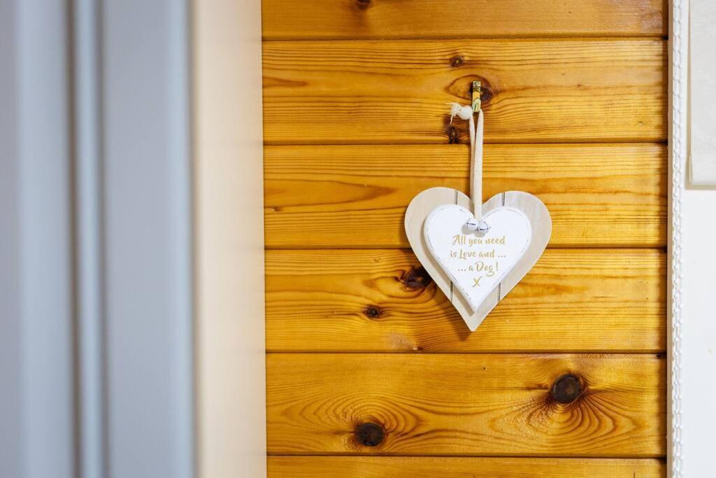 Rural Log Cabin In Snowdonia Near Coed Y Brenin By Seren Short Stays Ffestiniog 외부 사진